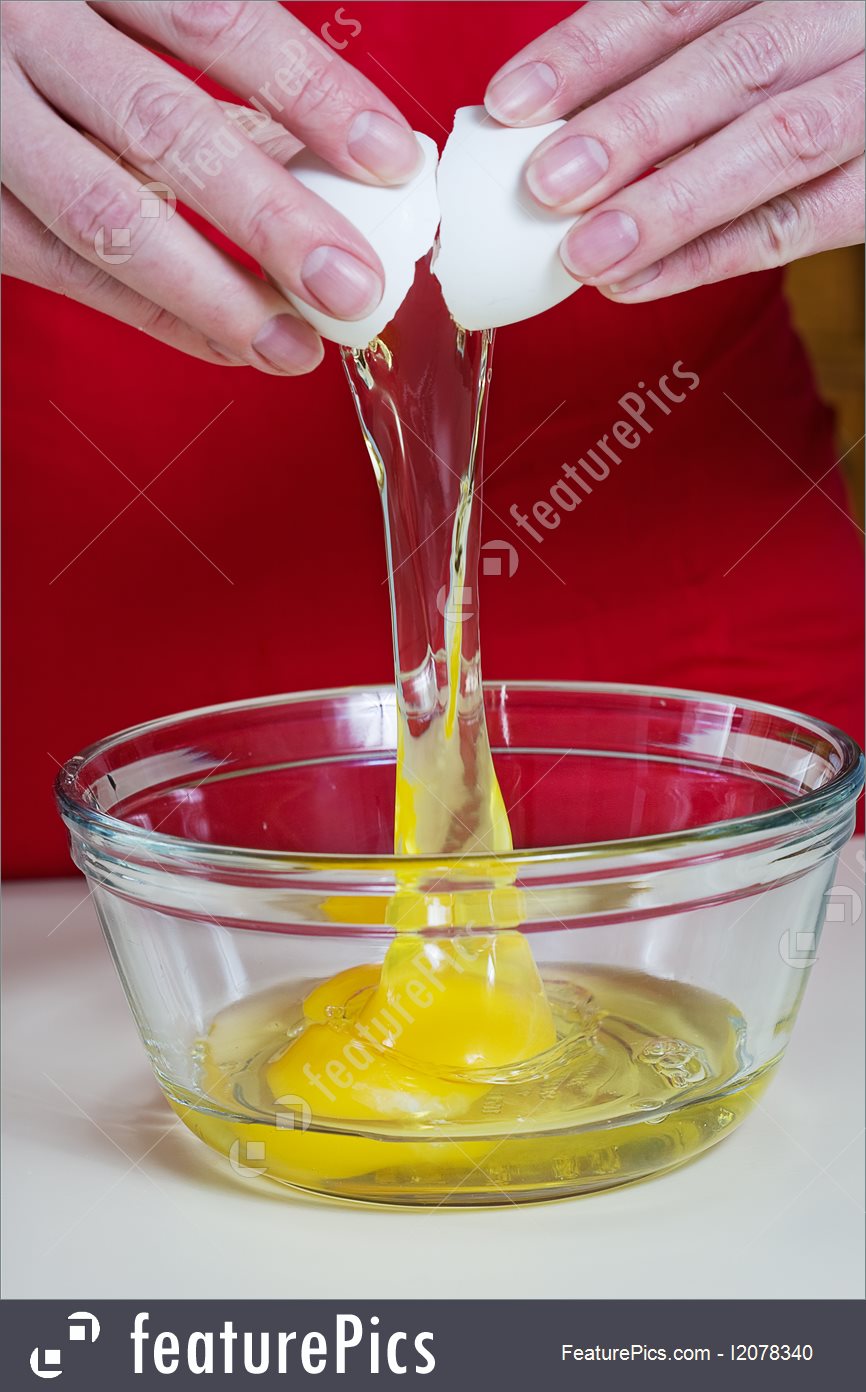 lectra modaris v7r2 cracked egg template